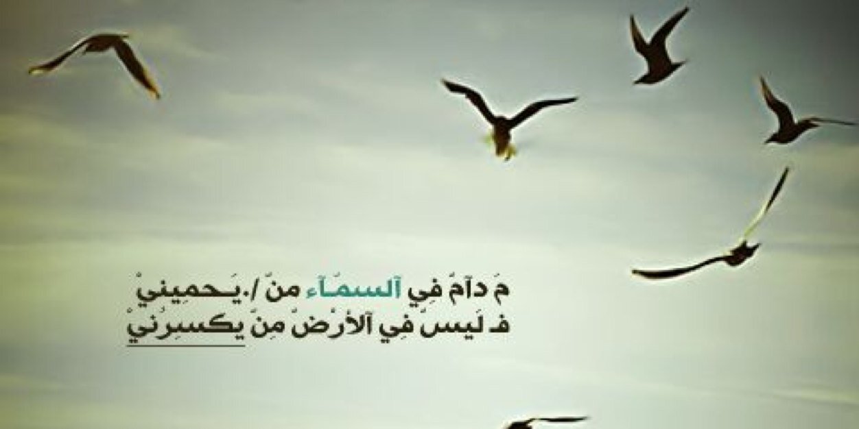 tha243's profile banner image