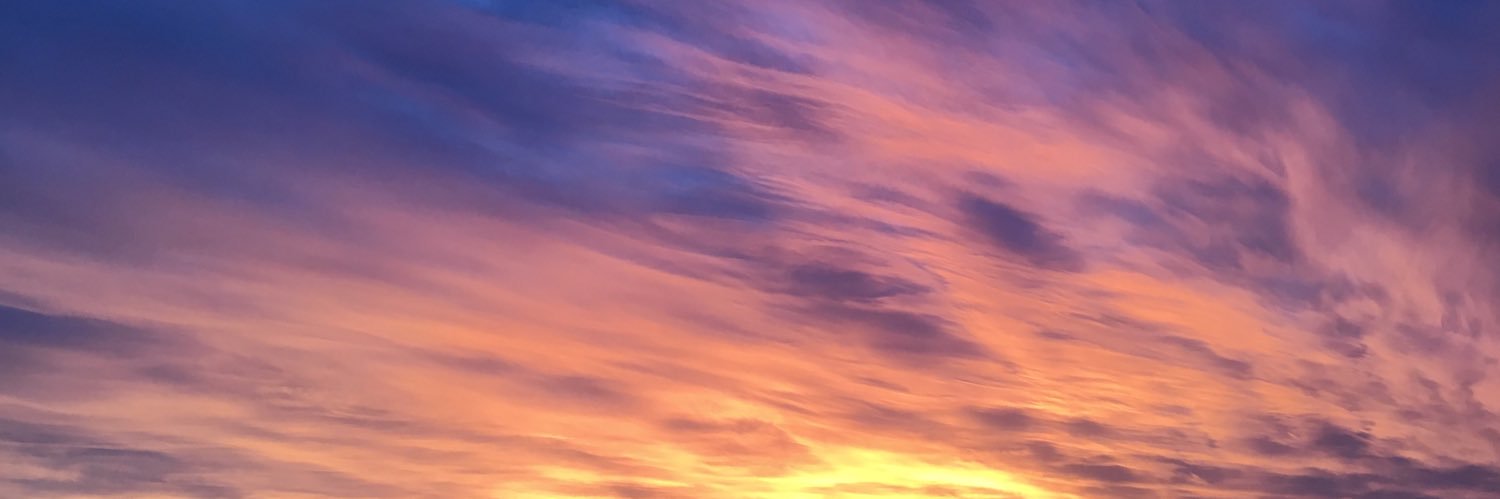 AnnMarchioni's profile banner image