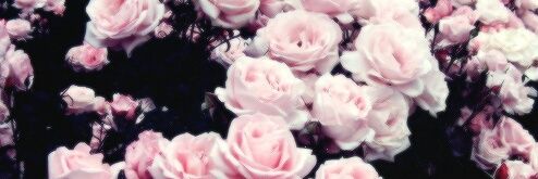 DanielaNav88's profile banner image