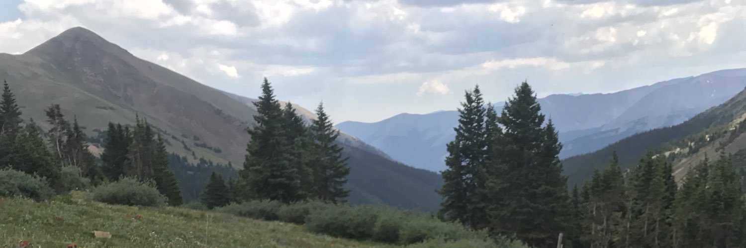 LTschatschula's profile banner image
