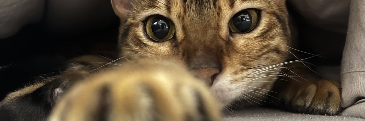 kknsn_'s profile banner image