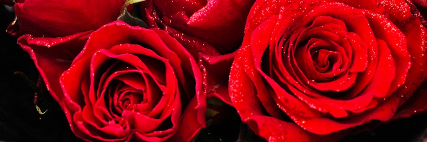 kyasumin1206's profile banner image