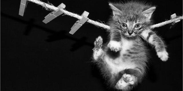 UnaTalMia's profile banner image