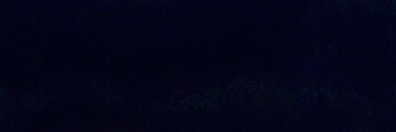 fifth_swift_ari's profile banner image