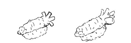 sesa_men's profile banner image