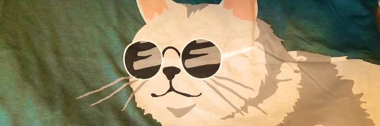 Anemoneko423's profile banner image