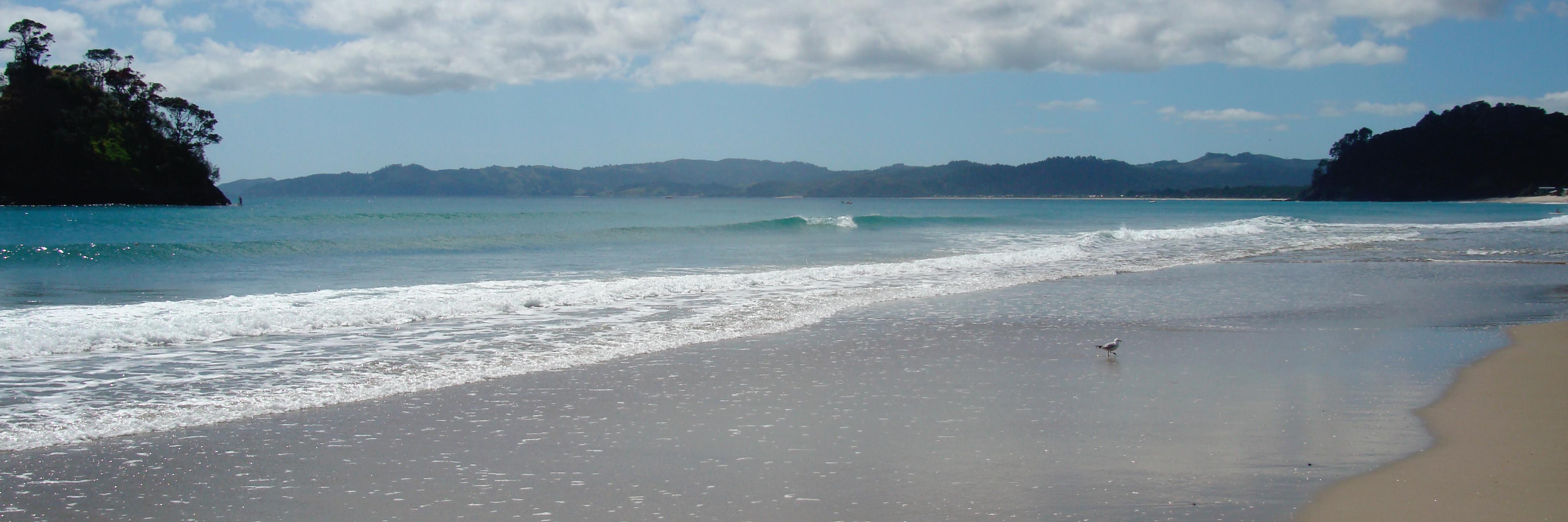 FionaStephenson's profile banner image