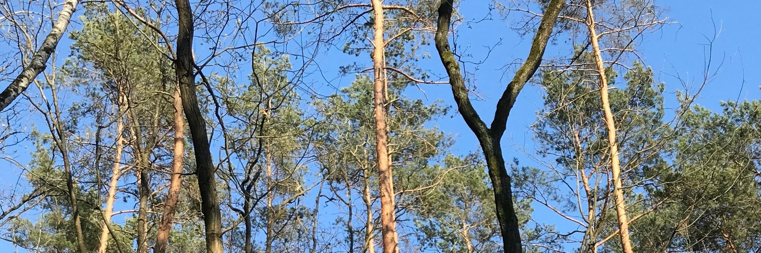 ginaabates's profile banner image