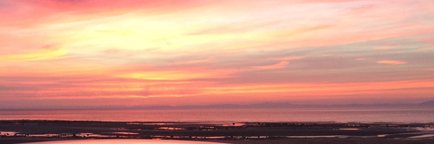 jamiewatters7's profile banner image