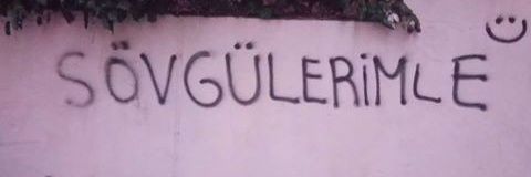 pelinin biri banner