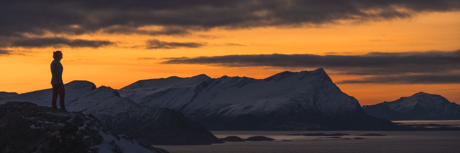 nellcutter's profile banner image