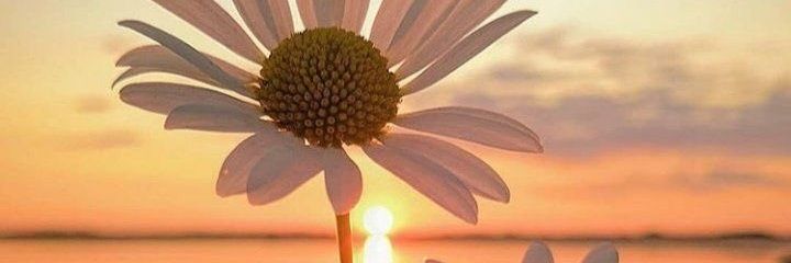 thatisinaf's profile banner image