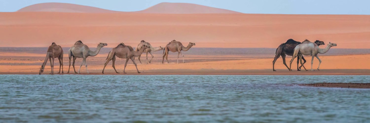 فالح بن علي الأجهر banner