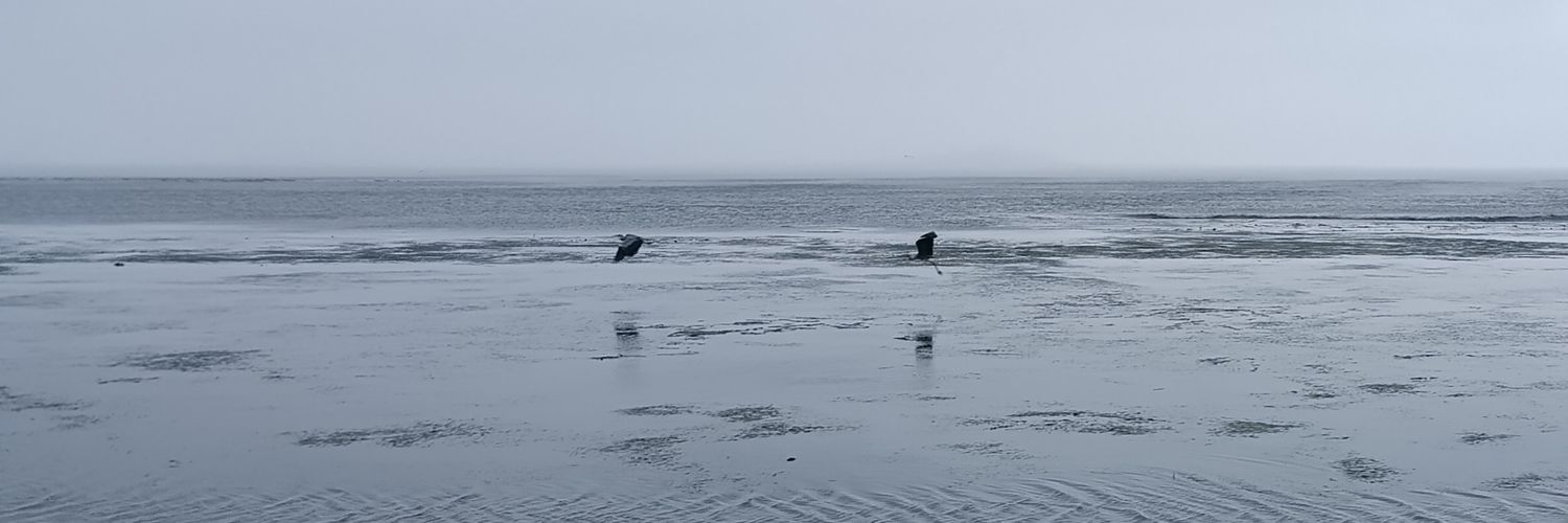 cold__seal's profile banner image