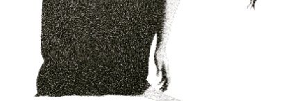 goddabirs's profile banner image