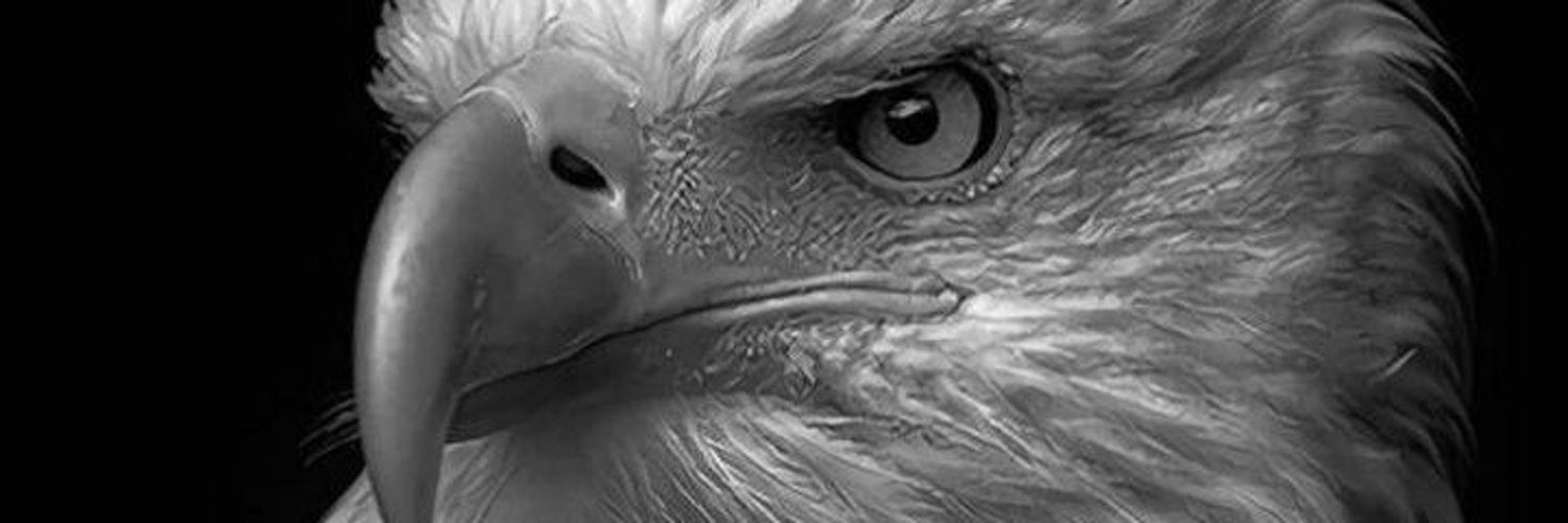 MuhammetAzakli's profile banner image