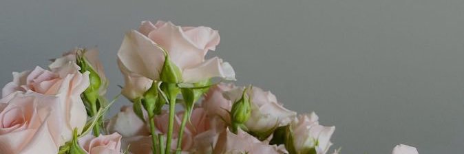 shathawat's profile banner image