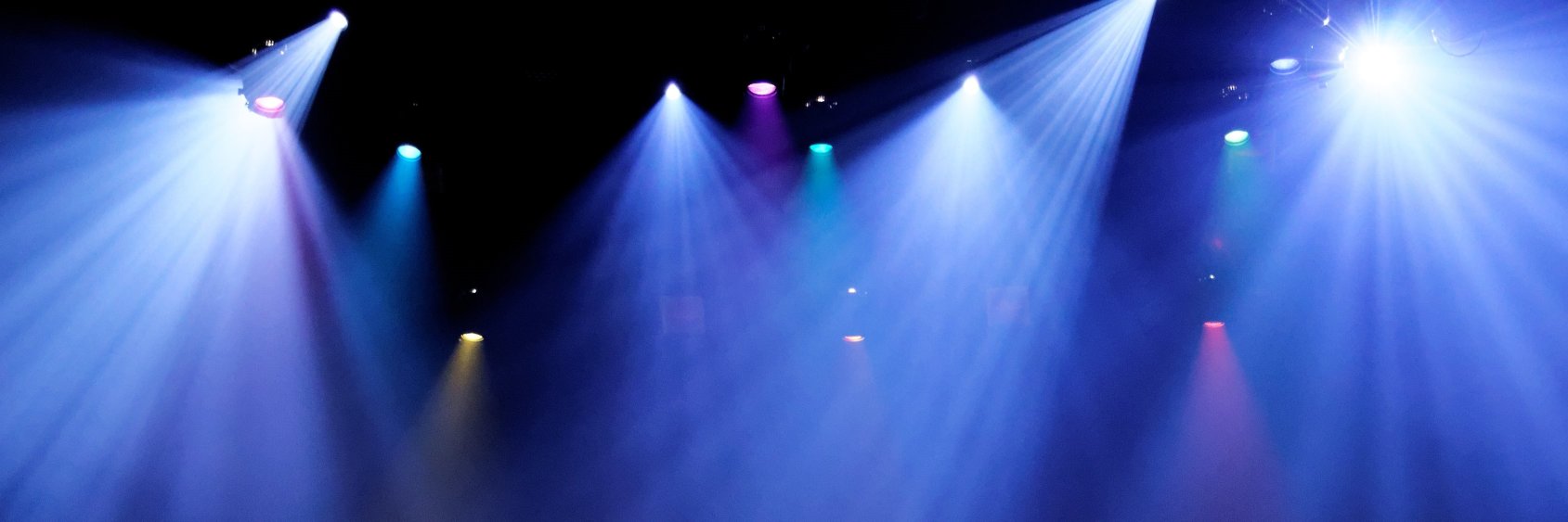 Liisa Kauppi banner