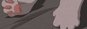 - banner
