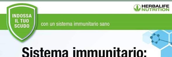 RominaGinger's profile banner image