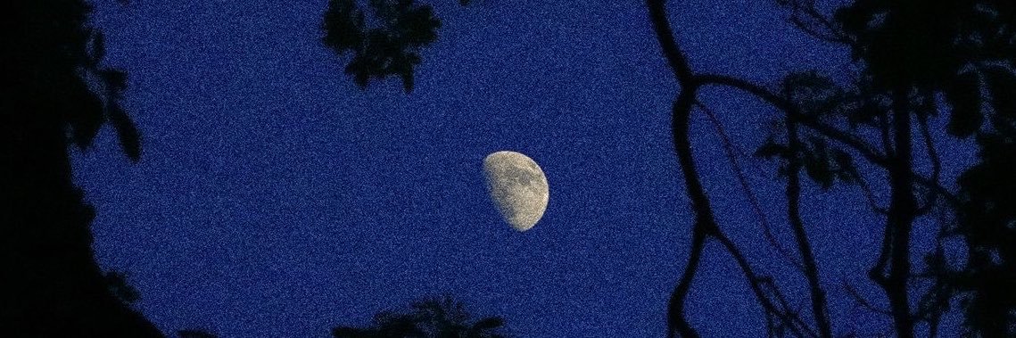 mir3lune's profile banner image