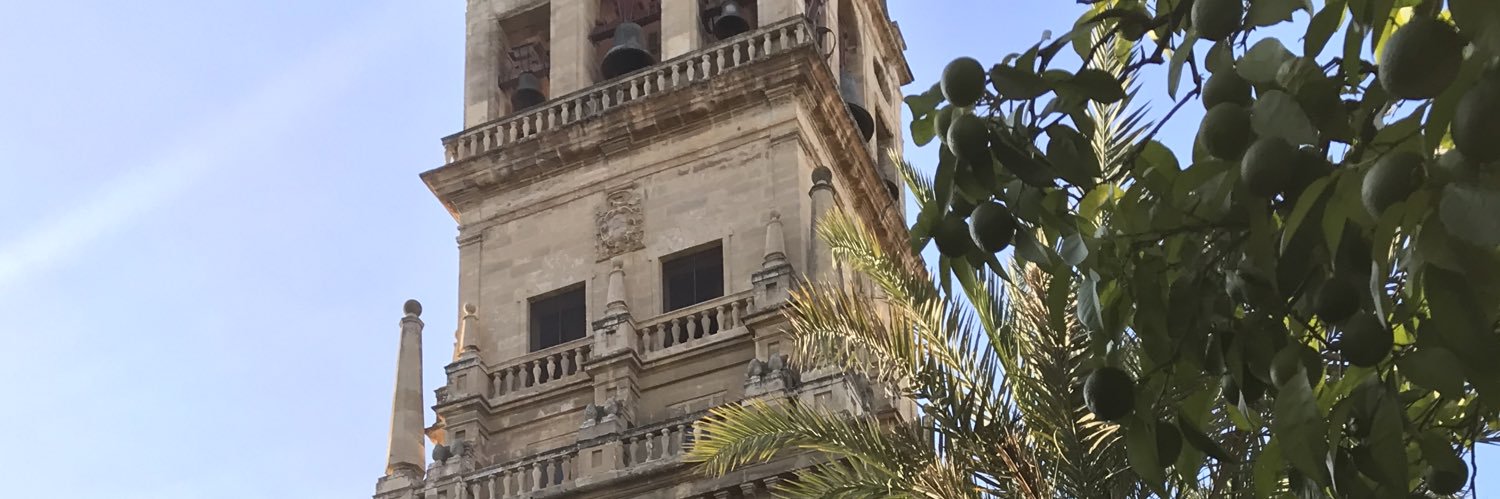 BarinasLaur's profile banner image