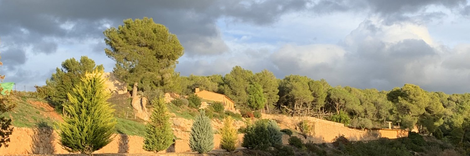 LluisFarre's profile banner image