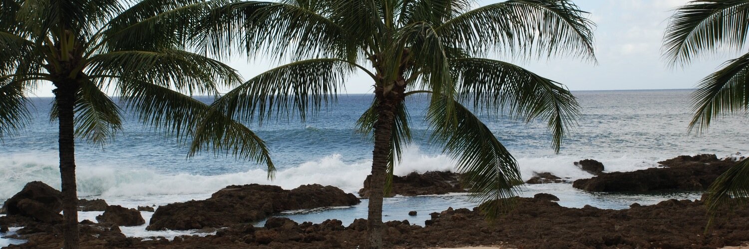 Oahu007's profile banner image