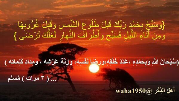 صالح إبراهيم العيدي banner