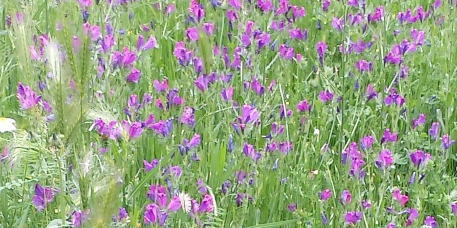 BegoLandaRodrig's profile banner image