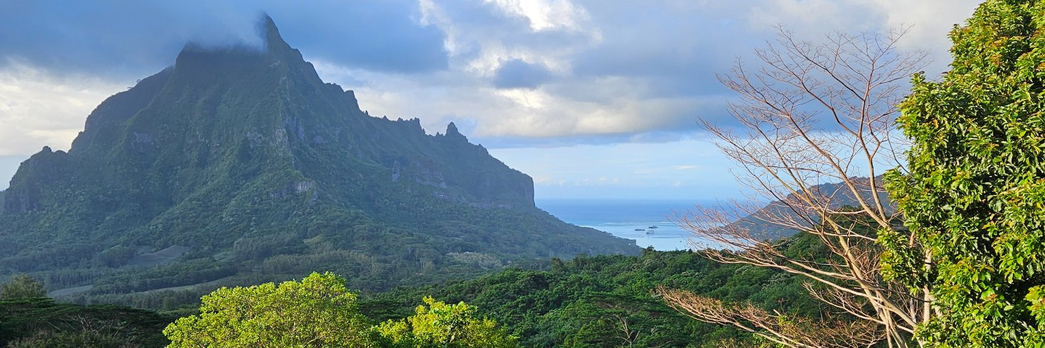 Maui banner