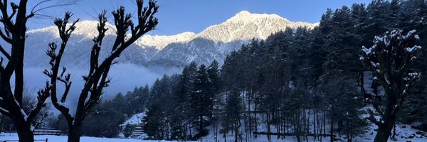 ParulChandraP Profile Banner