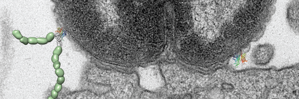 S_M_Lea Profile Banner