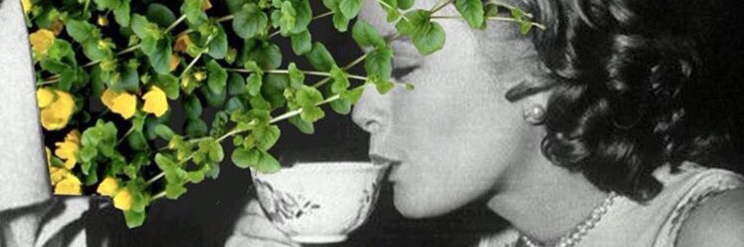 mer3bella's profile banner image