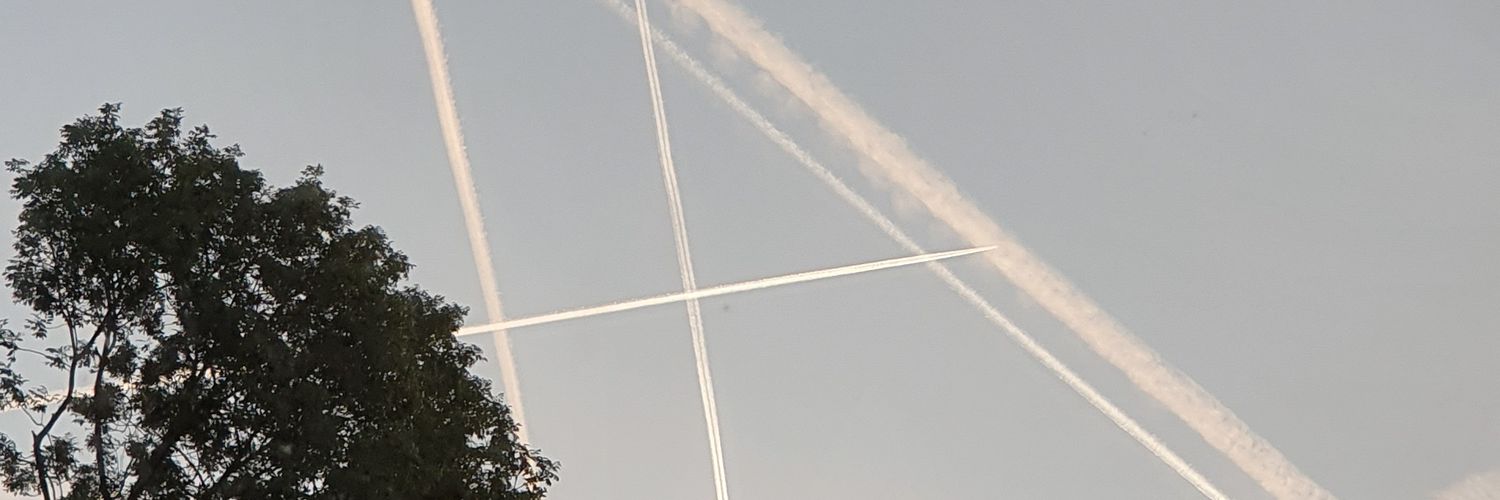ɟǝǝʇs banner