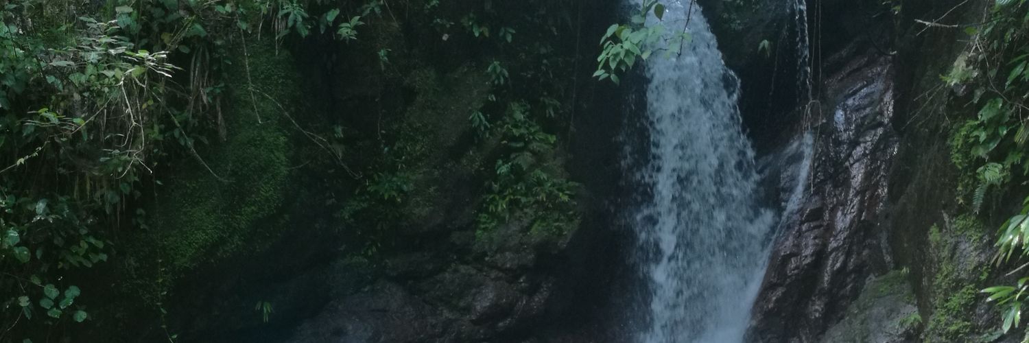 dougmbh's profile banner image
