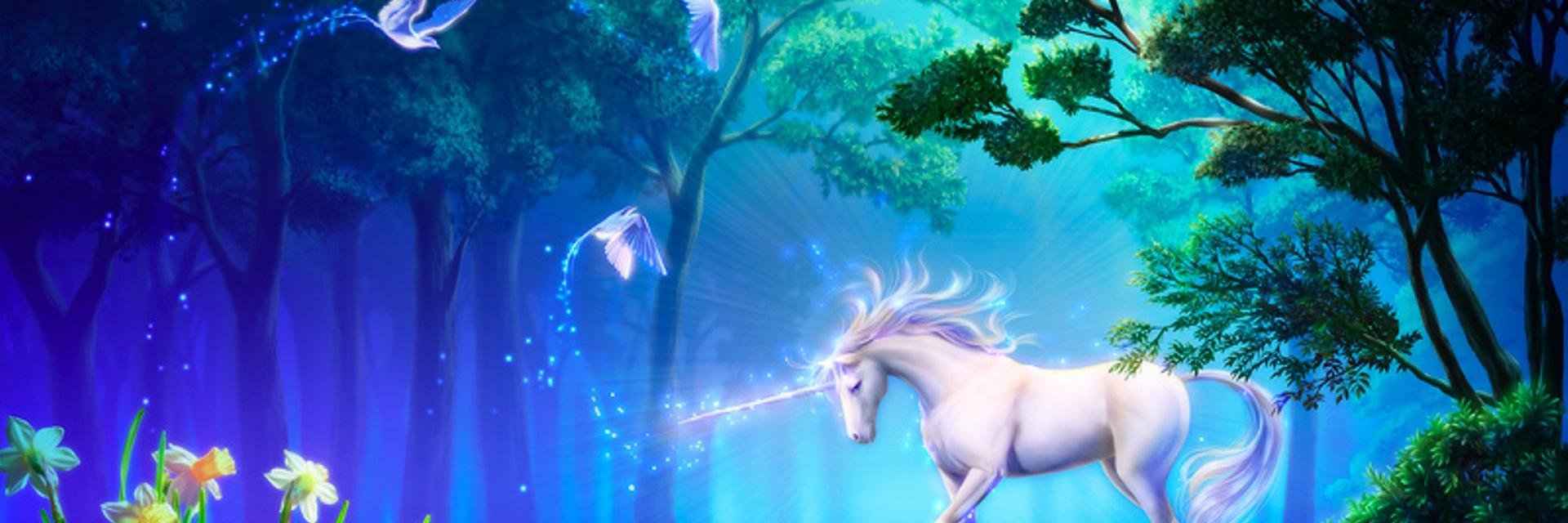 ttmurugan1's profile banner image
