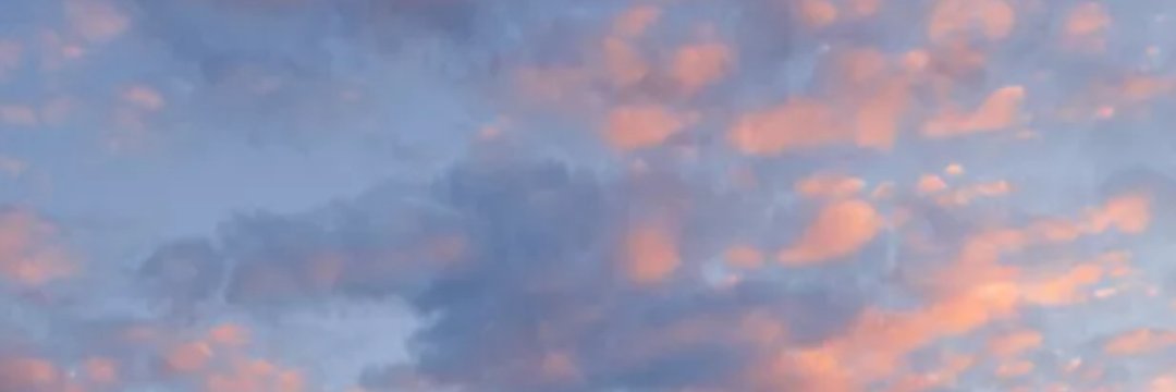 punch the monkey Updates banner