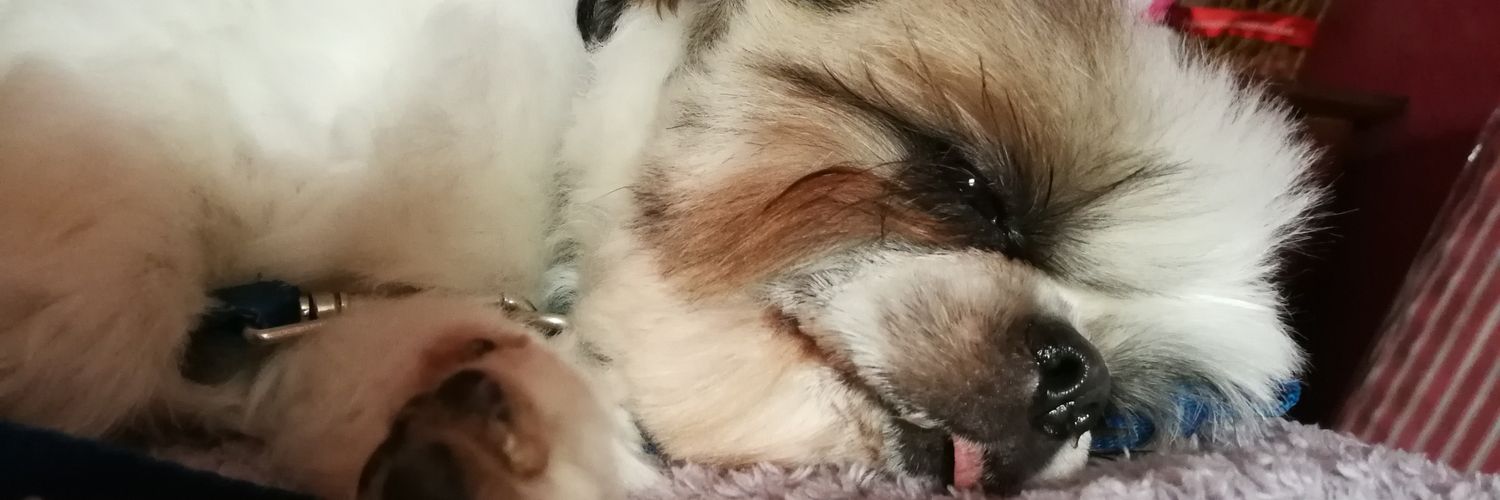 jaaccc's profile banner image
