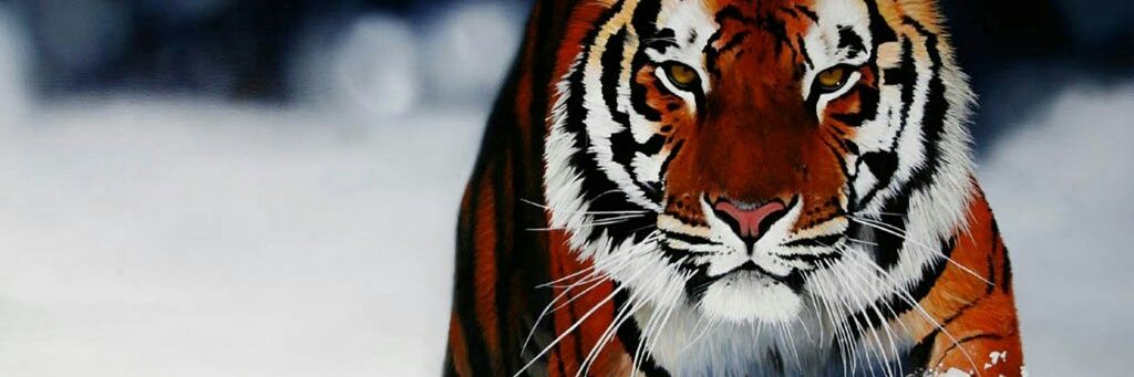 hbc10208's profile banner image