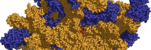 ragingribosomes's profile banner image