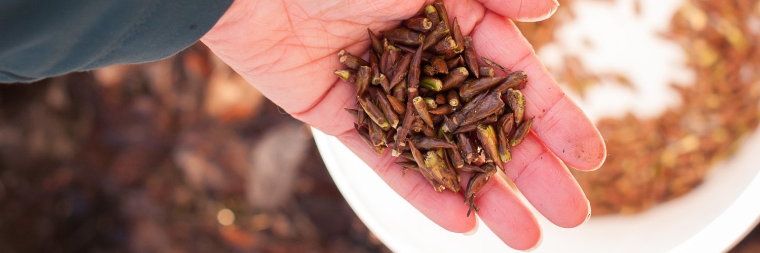 Edible Alaska banner