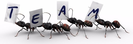 AzcaTranseunte banner