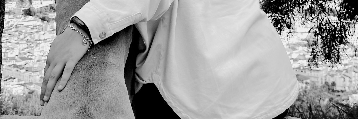SarayJV's profile banner image