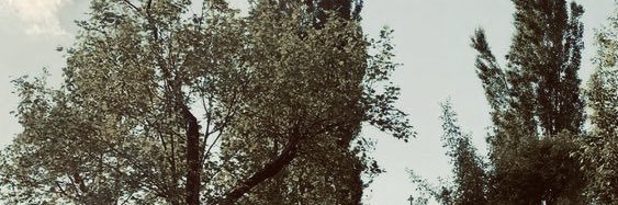 intanwlndr's profile banner image