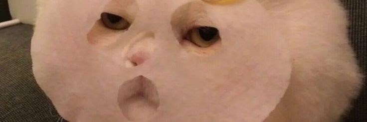 HZehireva's profile banner image