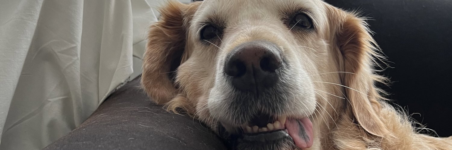 buffythequeen's profile banner image