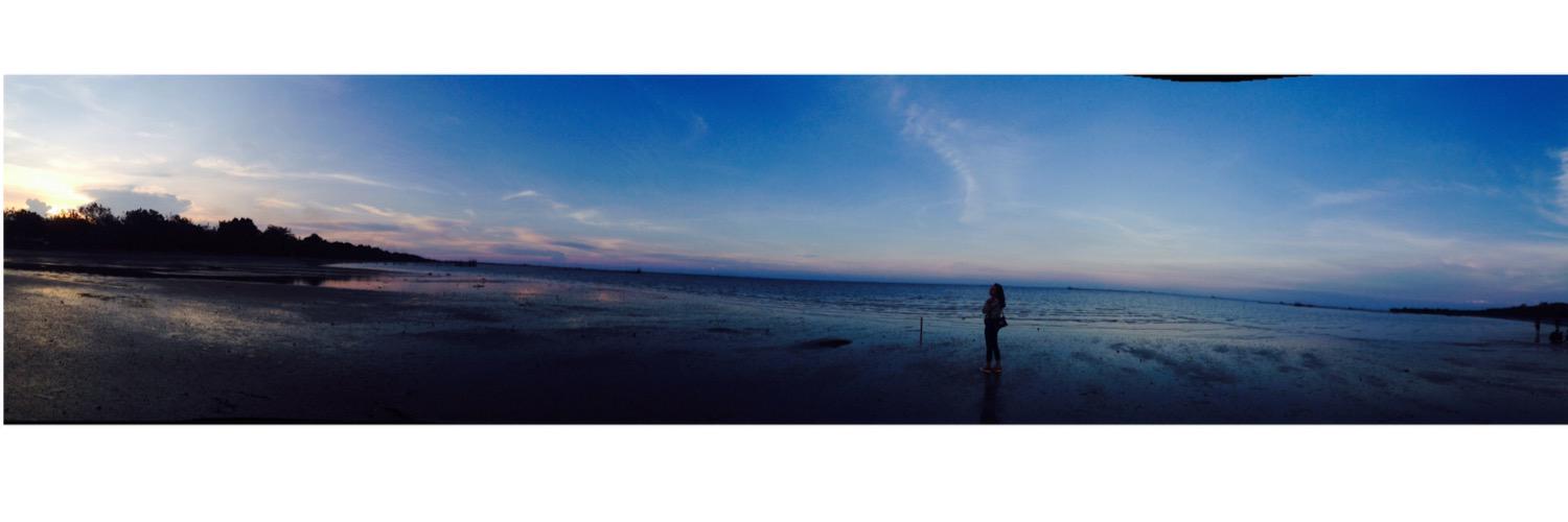 debysarii's profile banner image