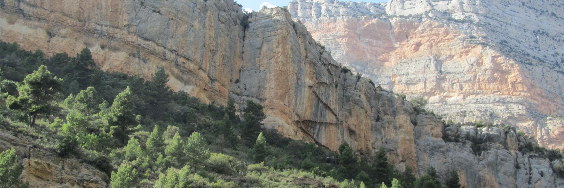 joanpuente banner