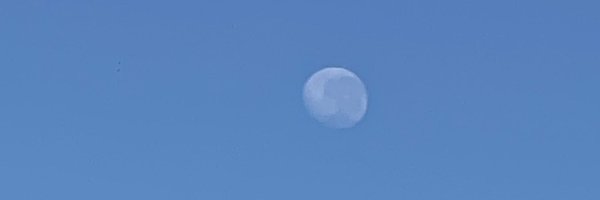 bensolomon1 Profile Banner